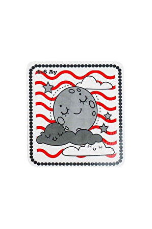 Bebeğimin İlk Zeka Kartları 0-12 Ay - Bebekler İçin Resimli İlk Aktivite Zeka Kart Oyun Seti 0-12 Ay