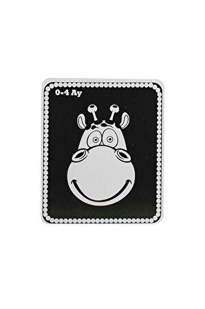 Bebeğimin İlk Zeka Kartları 0-12 Ay - Bebekler İçin Resimli İlk Aktivite Zeka Kart Oyun Seti 0-12 Ay