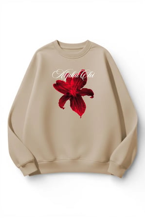 Unisex Yumuşak Dokulu Chi Alpha Baskılı Tasarım Oversize 3 İplik Bisiklet Yaka Sweatshirt
