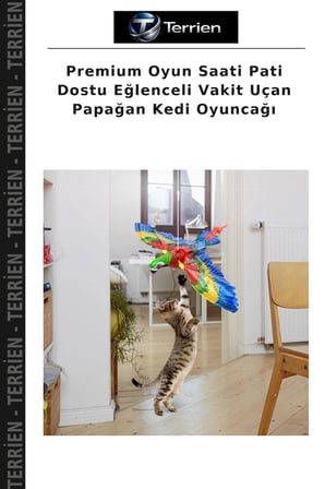 Premium Oyun Saati Pati Dostu Eğlenceli Vakit Uçan Papağan Kedi Oyuncağı