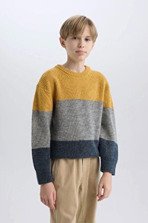Erkek Çocuk Regular Fit Bisiklet Yaka Renk Bloklu Triko Kazak