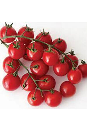 Domates Tohumu 50 Adet