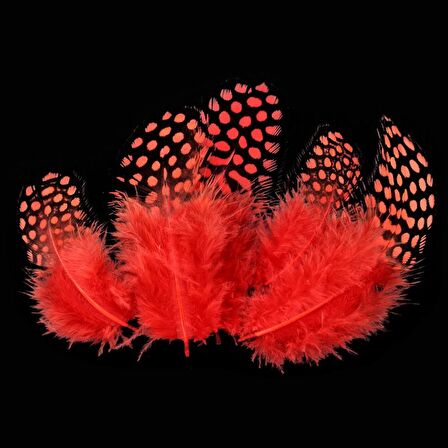 50 ADET PUANTİYELİ KIRMIZI SİYAH KUŞ TÜYÜ KIRMIZI KUŞ TÜYÜ DECOR RED BIRD FEATHER KIRMIZI ŞEFFAF BALON TÜYÜ