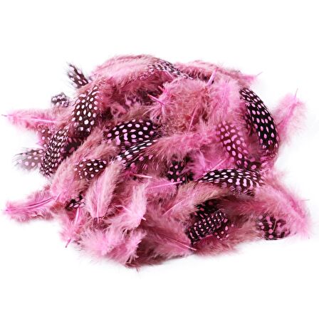 50 ADET PUANTİYELİ PEMBE SİYAH KUŞ TÜYÜ PEMBE KUŞ TÜYÜ DECOR PİNK BIRD FEATHER PEMBE ŞEFFAF BALON TÜYÜ