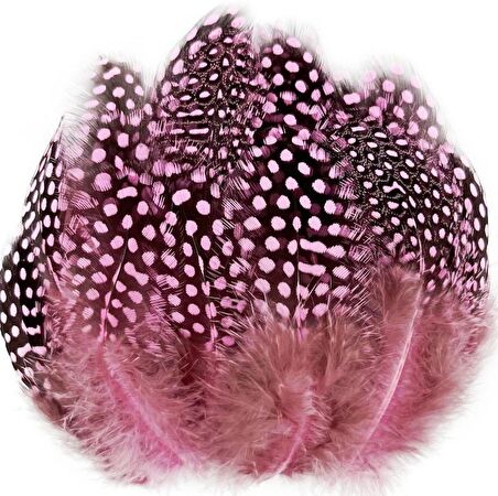 100 PCS DECOR PİNK BIRD FEATHER 100 ADET PUANTİYELİ PEMBE SİYAH KUŞ TÜYÜ DEKOR PEMBE KUŞ TÜYÜ