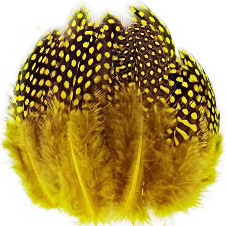 100 PCS DECOR YELLOW BIRD FEATHER 100 ADET PUANTİYELİ SARI SİYAH KUŞ TÜYÜ DEKOR SARI KUŞ TÜYÜ