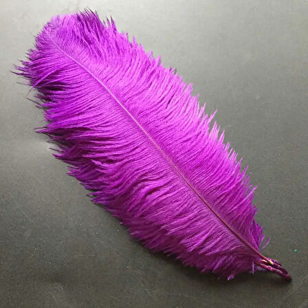400 PCS DECOR VIP PURPLE BIRD FEATHER 400 ADET MOR KUŞ TÜYÜ MOR ŞEFFAF BALON TÜYÜ MOR SÜSLEME TÜYÜ