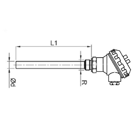 Kafalı Tip PT100 6x100mm