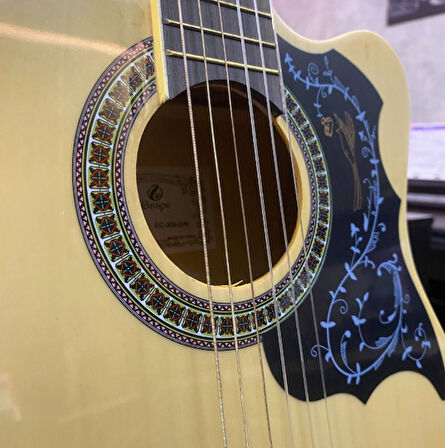 GRAPE 4/4 KLASİK GİTAR EC-309YN