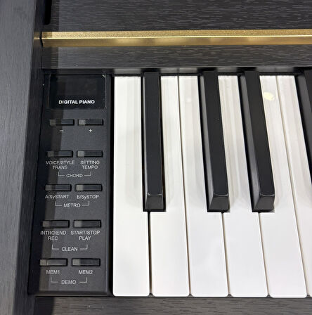 BRAHNER DIJITAL PIYANO BR-11 BK
