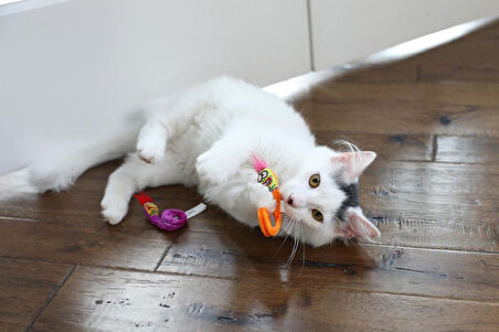 Fat Cat Springy Worms Kedi Otlu 2'li Peluş Kedi Oyuncağı