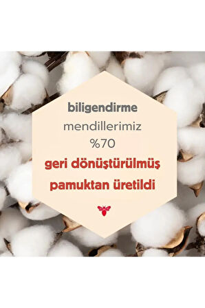 Burt's Bees Sensitive Facial Cleansing Towelettes with Aloe Vera (Makyaj Çıkarıcı Havlular ) 30 Adet 144.5gr