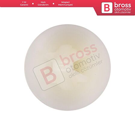 Renault için 10 Adet Tutucu Klipsi