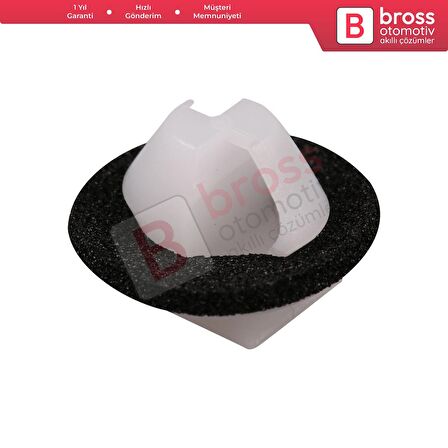 Renault için 10 Parça Kapı Paneli Klipsi 7701049008