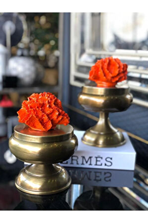 Ikili Yapay Mercanlı Şekerlik