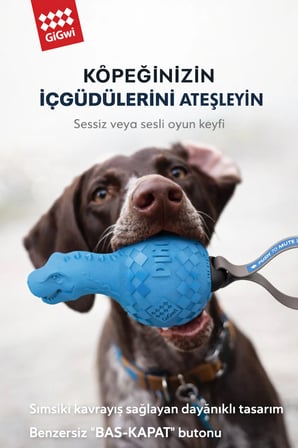 Dinoball Serisi T-Rex Sesli & Sessiz At - Getir Köpek Oyuncağı