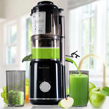 Rowenger Slow Juicer Yavaş Sıkım Katı Meyve Sıkacağı Soğuk Sıkım Meyve Sıkacağı