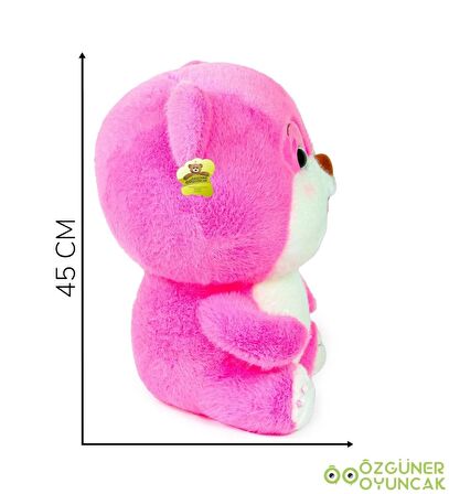 Gülümseyen Pembe Ayıcık Mani