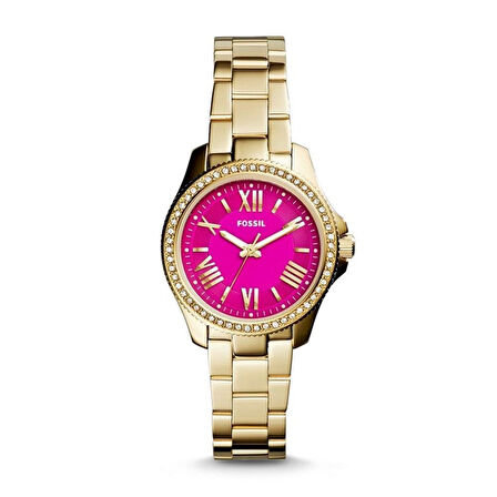 Fossil AM4598 Kadın Kol Saati