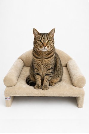 Reyo Pet Peluş Kedi Koltuğu, Kedi Kanepesi, Kedi Yatağı, Evcil Hayvan Dinlenme Koltuğu, Rahat Kedi S