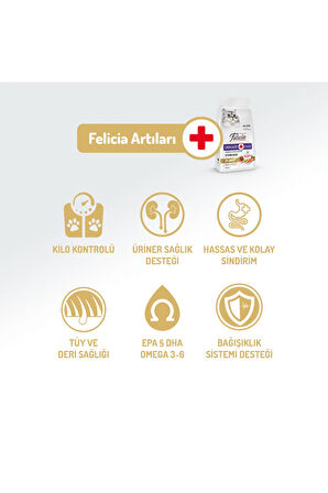 Kolajen Destekli Hipoalerjenik Somonlu Kısırlaştırılmış Yetişkin Kedi Maması 2KG