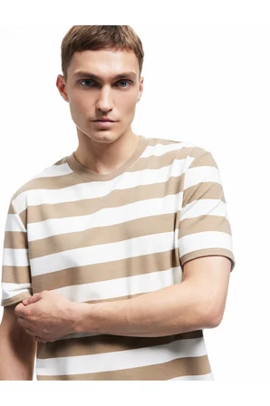 Regular Fit Kısa Kollu Tok Kumaş Çizgili Bisiklet Yaka Tişört