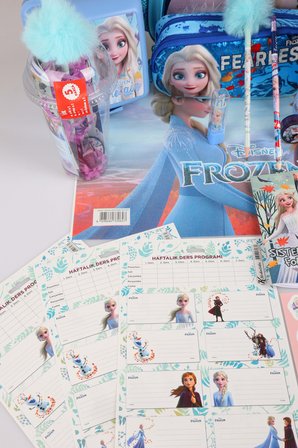 x Dekomus Lisanslı "Fearless Collection" Elsa Frozen Okul ve Kırtasiye Seti Okul,Termoslu Beslenme ve Kalem Çantası,Matara,Beslenme Kabı