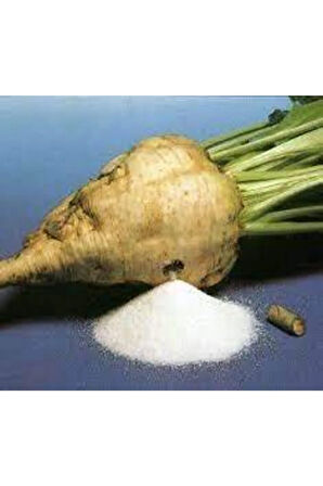 Tohum Şeker Pancarı Tohumu Beyaz Şeker Pancarı Tohumu-50 Adet