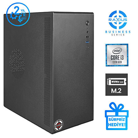 RaXius Business B1 i3 UHD730-131A001 i3-13100 16GB 512SSD FreeDOS Masaüstü Bilgisayar