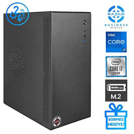 RaXius Business B1 i7 UHD750-117A005 i7-11700 32GB 1TBSSD FreeDOS Masaüstü Bilgisayar