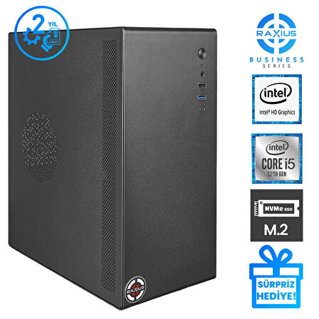 RaXius Business B1 i5 UHD730-124A018 i5-12400 64GB 1TBSSD FreeDOS Masaüstü Bilgisayar
