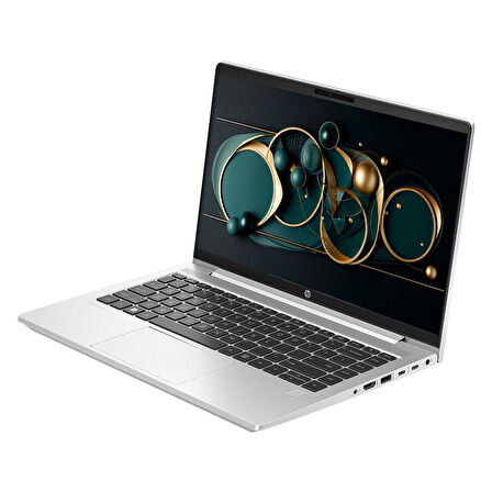 HP ProBook 440 G10 9B9F8EA17 i5-1334U 32GB 512SSD 14" FHD W11P Dizüstü Bilgisayar-CNT018