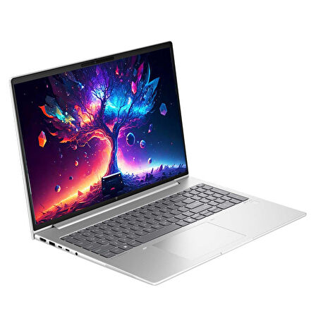 HP EliteBook 660 G11 9C004EA11 Ultra7 155U 32GB 1TBSSD 16" FHD W11P Dizüstü Bilgisayar