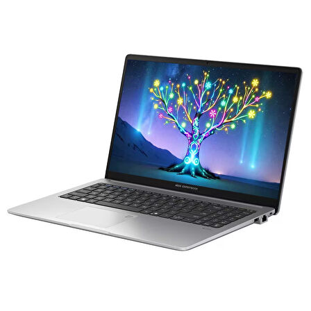 Asus ExpertBook P1 P1503CVA-I58512S0D07 i5-13500H 32GB 2TBSSD 15.6" FHD FreeDOS Dizüstü Bilgisayar-CNT008