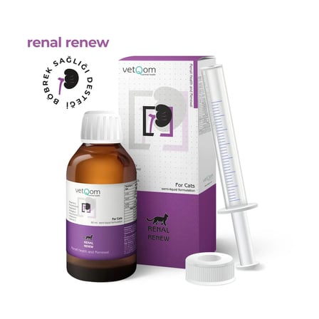 vetQom Kedi Renal Renew 60 ml