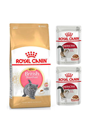 Royal Canin British Shorthair Kitten Yavru Kedi Maması 2 Kg +  Parça Etli Yaş Mama 2 Adet (original)