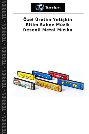 Özel Üretim Yetişkin Ritim Sahne Müzik Desenli Metal Mızıka