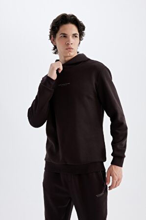 DeFacto Regular Fit Kapüşonlu Baskılı Sweatshirt C6131AX24AUBN337