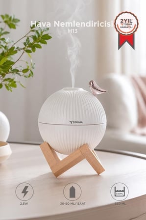 Premium H13 Kuş Figürlü Ahşap Standlı Hava Ofis Oda Kreş
