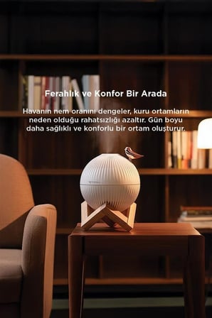 Premium H13 Kuş Figürlü Ahşap Standlı Hava Ofis Oda Kreş