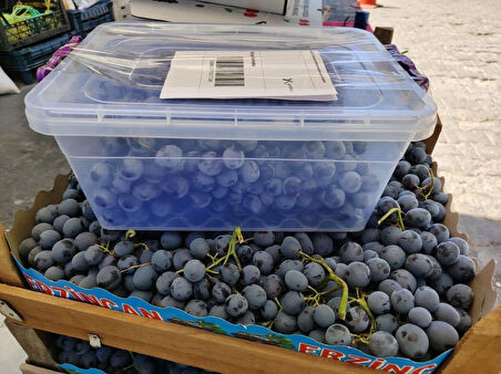 Erzincan Cimin Üzümü 1 KG