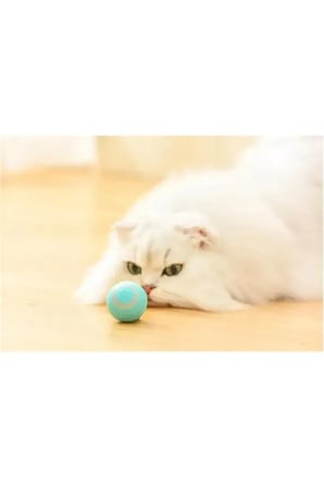 3 Adet Akıllı İnteraktif Kedi Ve Evcil Hayvan Oyuncağı – Hareket Sensörlü, Titreşimli Ve Işıklı, Kendiliğinden Hareketli Pet Toy, Şarj Kablosu Dahil
