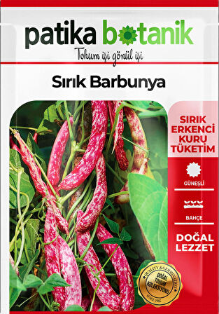 50 Adet Sırık Barbunya Tohumu (Selim)