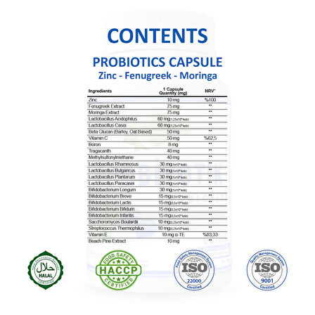 Probiyotik Kapsül (Probiotics Capsule)