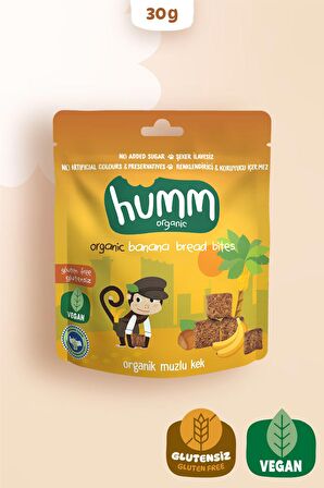 Humm Organic Organik Glutensiz Vegan Muzlu Kek 30g