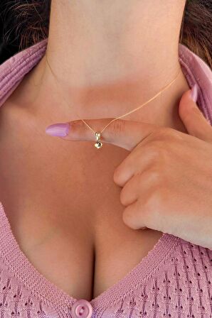 14 Ayar Altın Hayalet Zincir Kalp Kolye