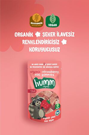 Humm Organic Organik Glutensiz Vegan Çilekli Mini Küpler 30g X 6 Adet