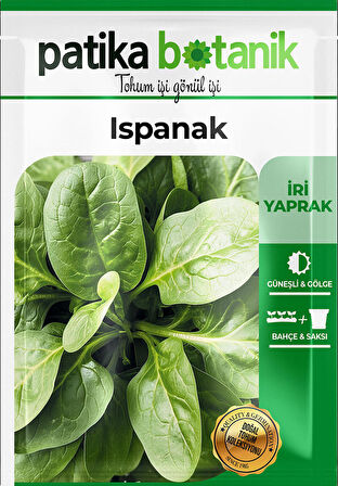 Yerli Ispanak 