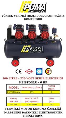 100 LT YÜKSEK VERİMLİ YAĞSIZ KOMPRESÖR (6 HP)