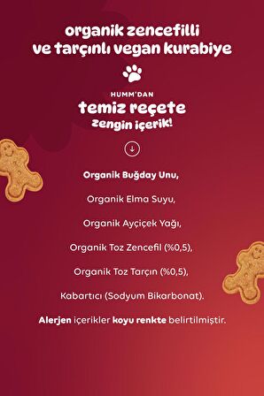 Humm Organic Organik Vegan Zencefilli ve Tarçınlı Kurabiye - 55g